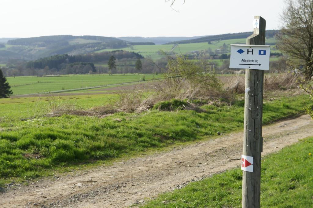 Hostellerie La Maison De Maitre Arbrefontaine エクステリア 写真